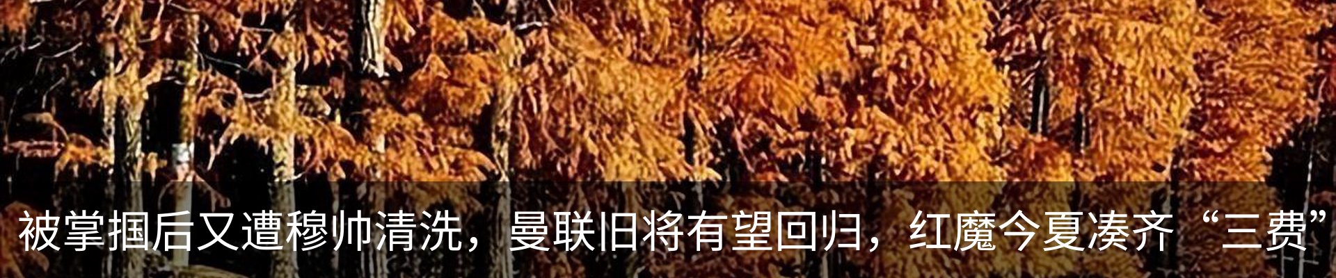 资讯中心